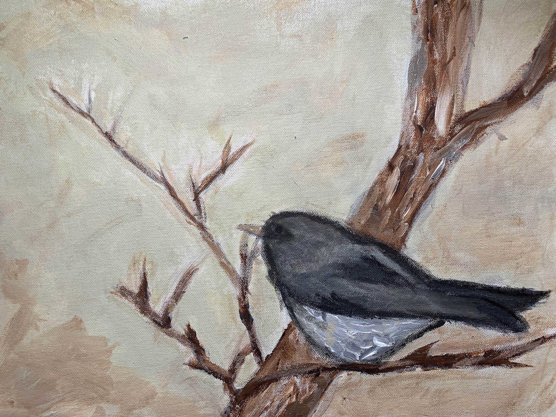 junco-painting